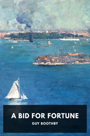 Cover for A Bid for Fortune