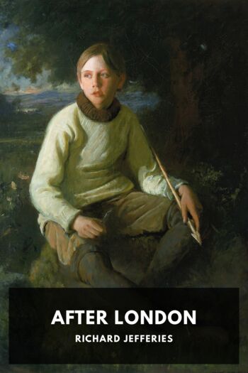 Cover for After London